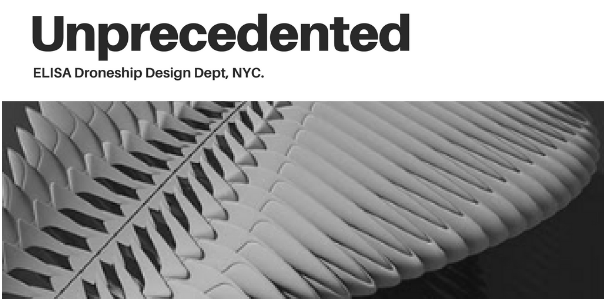 Elisa aeronautics elevated FATO NY