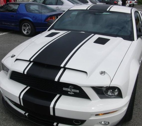Mustang brooklyn brighton beach