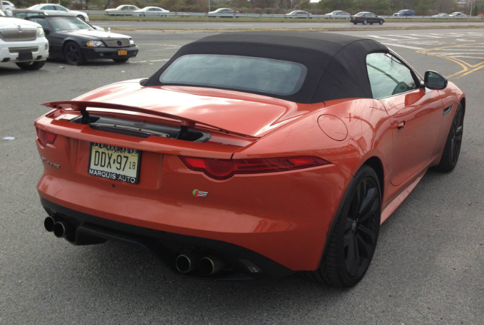 NY Jaguar