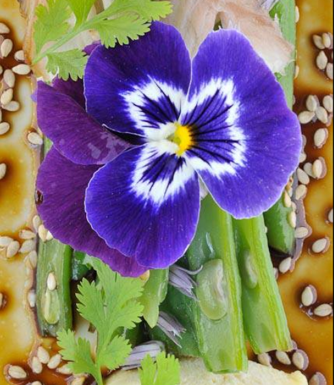 Vegetable bistrot